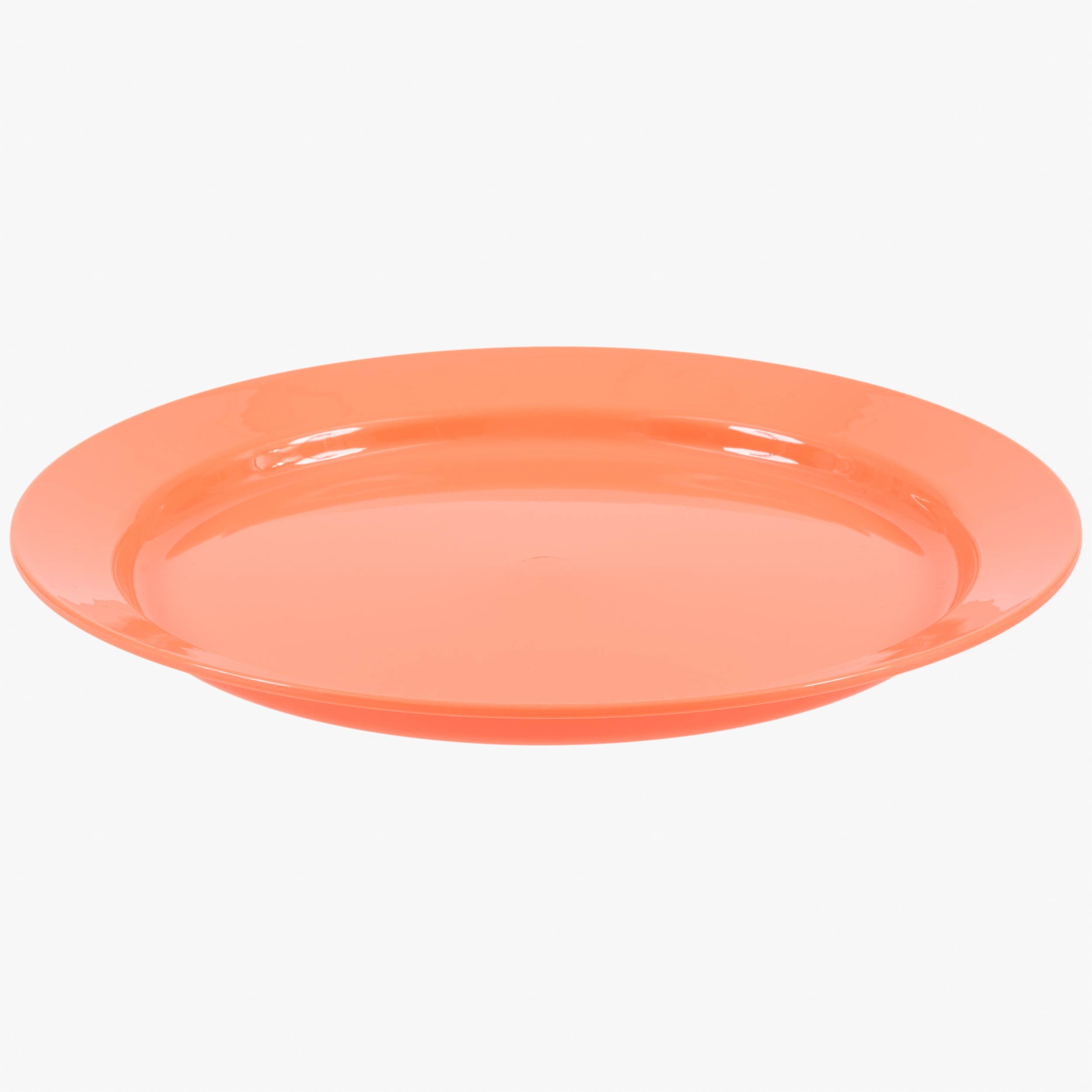 Flat Plate 25cm
